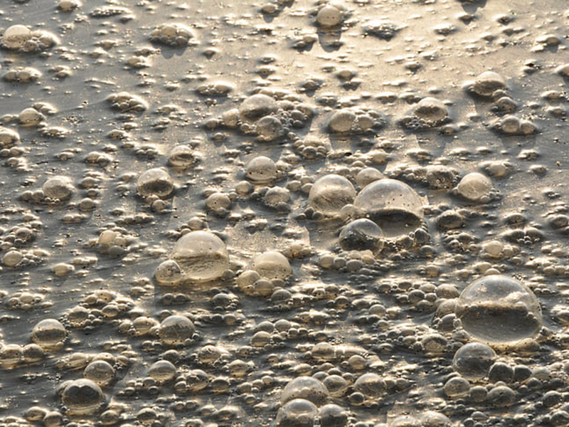 檢測工業污水可以用在線氨氮檢測儀嗎？