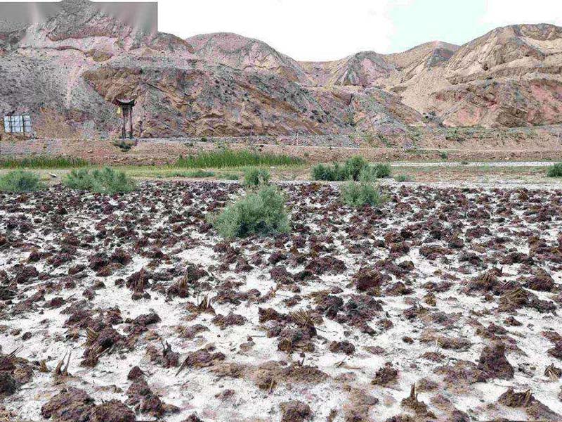 土壤發(fā)白是什么原因 土壤發(fā)白是什么原因