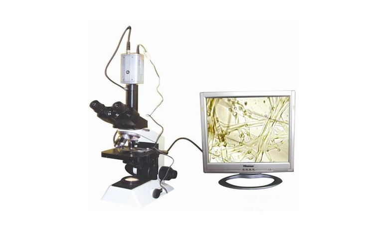 植物病蟲害檢測設備
