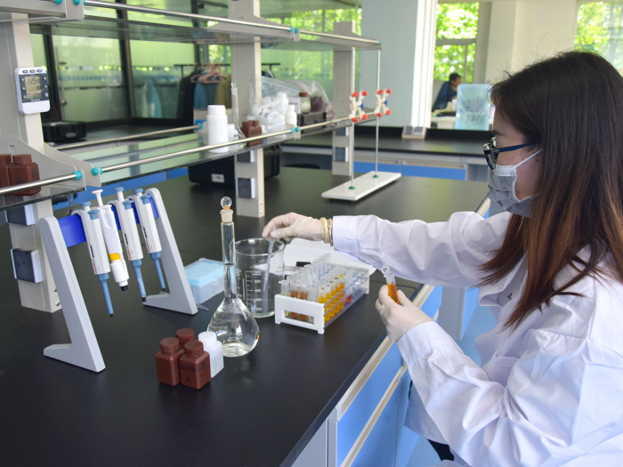 1720430404135475.png 7.png