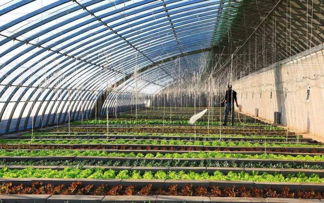 溫室土壤測試儀 溫室土壤測試儀