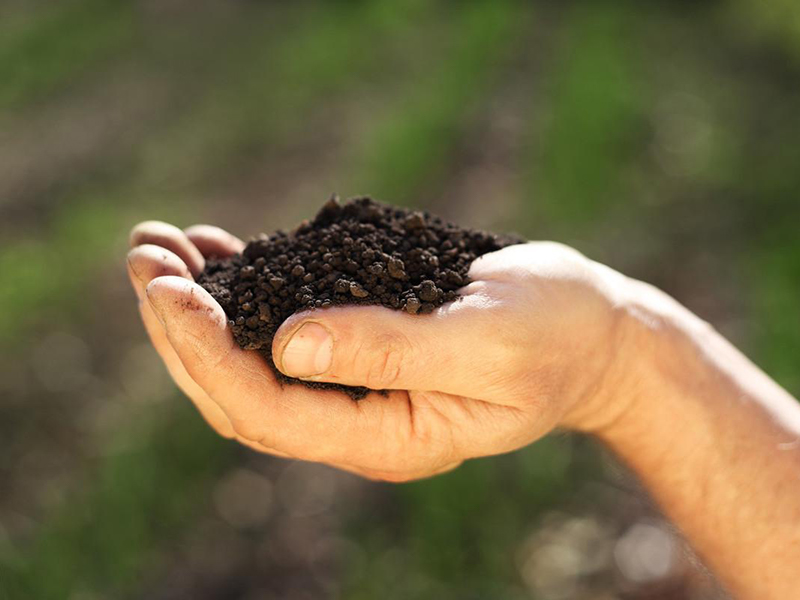 土壤要素檢測儀 土壤要素檢測儀