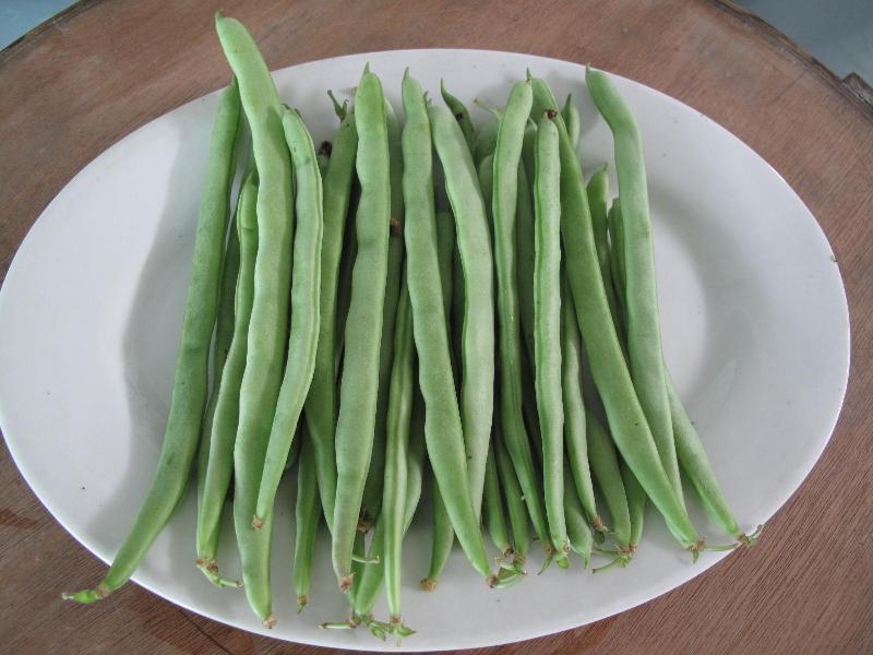 農(nóng)藥殘留檢測(cè)儀，檢測(cè)四季豆農(nóng)藥殘留含量