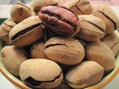 碧根果苗種植，怎樣的土壤*合適？